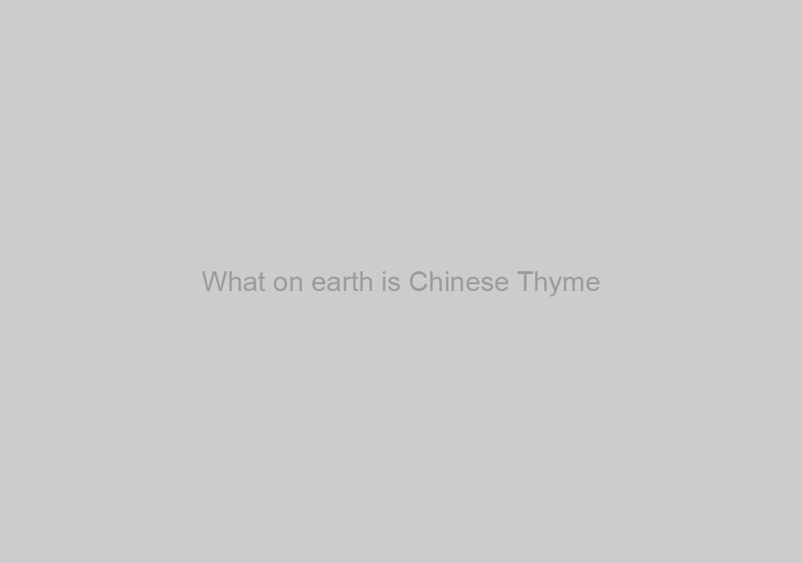 What on earth is Chinese Thyme? Within Shots